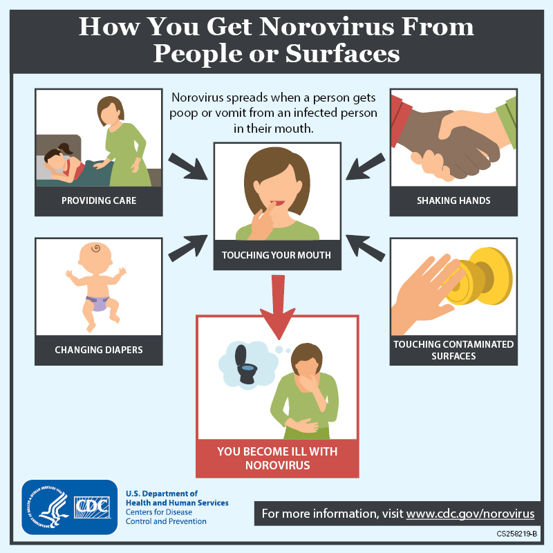 Norovirus 
